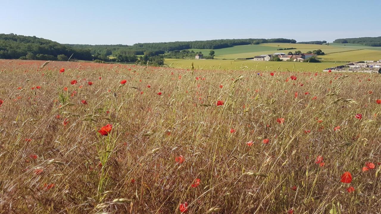 Charming Cottage In Chauminet Sougeres-en-Puisaye エクステリア 写真